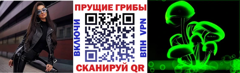 Купить  Сретенск  Галлюциногенные грибы GOLDEN TEACHER 